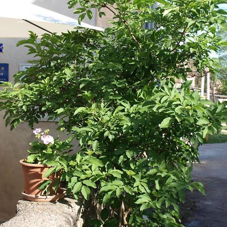 Apartment Krnica N43 Zewnętrze zdjęcie