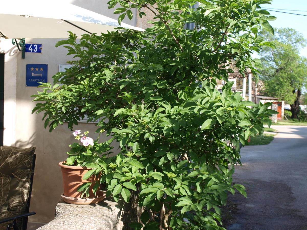 Apartment Krnica N43 Zewnętrze zdjęcie
